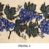 Frutal 4